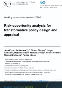 GSI_working_papers_2020-01